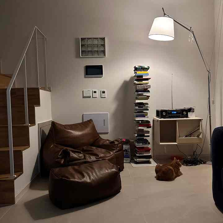 ブラウンとホワイトの色調のリビング、ブラウンのビーンバッグソファとフロアランプ、本棚が配され、床に猫がいる印象的な空間