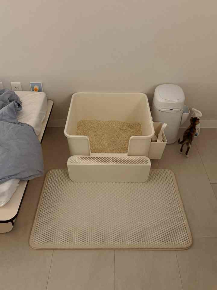 ベージュ調の寝室、猫トイレとマットが配置された清潔でミニマルな印象的な空間