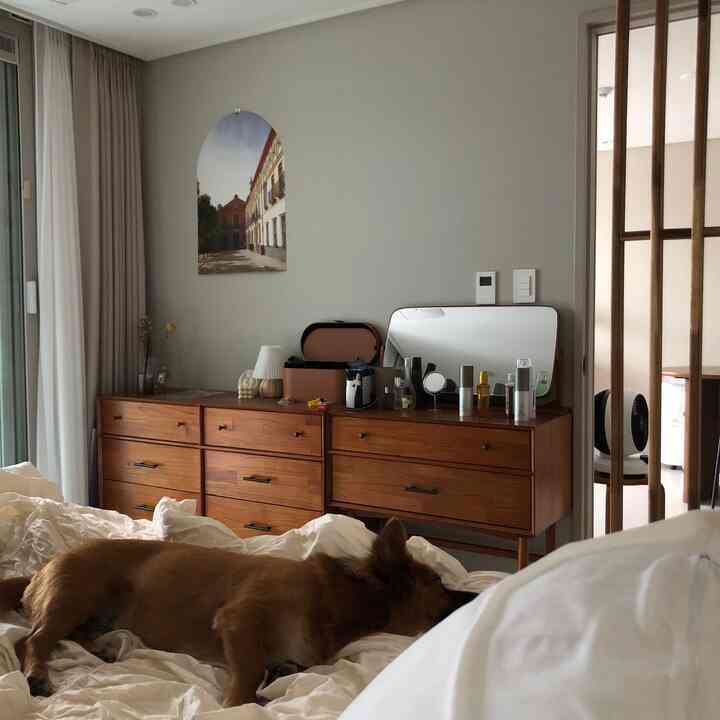Cozy beige and wood-toned bedroom featuring a wooden dresser with vanity, and a dog lying on the bed