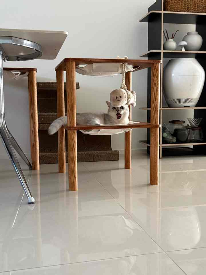 Tagged posts featuring Durable Glass Teapot & Cup Set with Wooden Tray (4-Person Set) 2