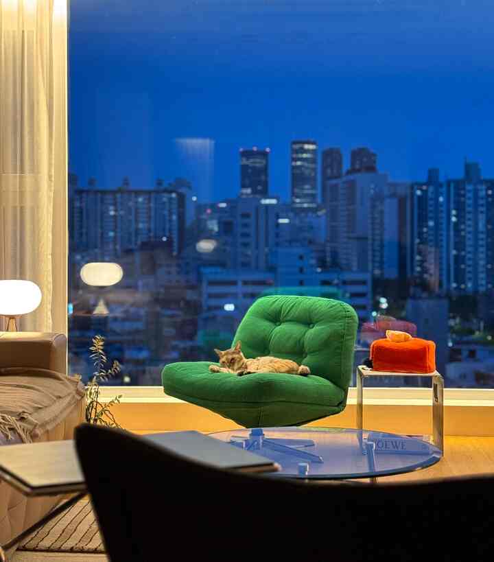 Beige-toned living room featuring a green armchair with a cat and an orange tissue box on the right, creating a cozy atmosphere