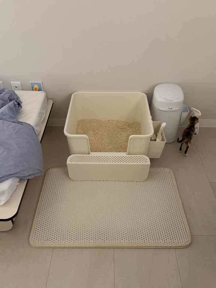 Beige-toned bedroom corner featuring a beige cat litter box and mat with a small kitten nearby, creating a cozy atmosphere