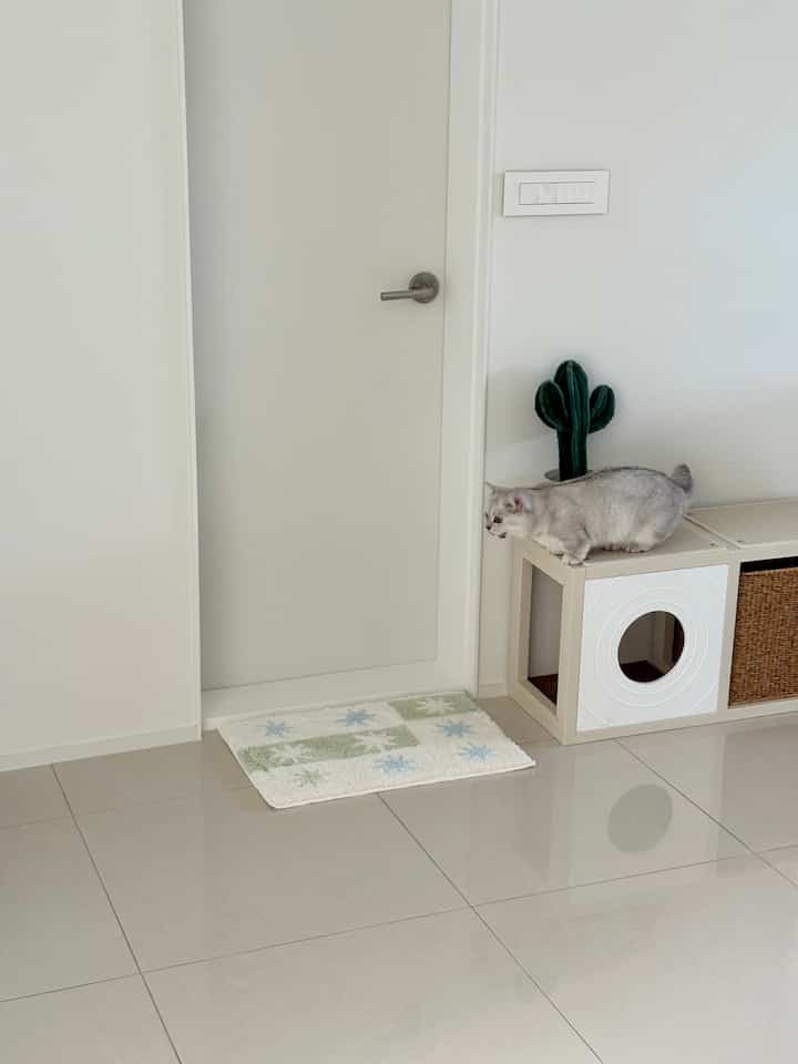 猫用ハウス 2x1［7色］を使ったコーディネート 3