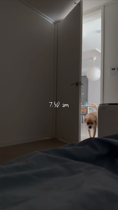 덕구네하루님의 사진