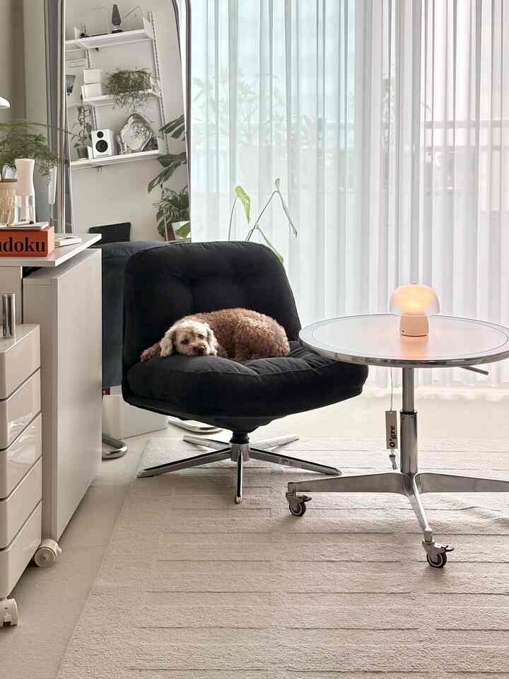 ホワイトとベージュのトーンが調和したモダンなリビング、黒のアームチェアに犬が寛ぎ、ラウンドサイドテーブルと明るいラグが配された印象的な空間