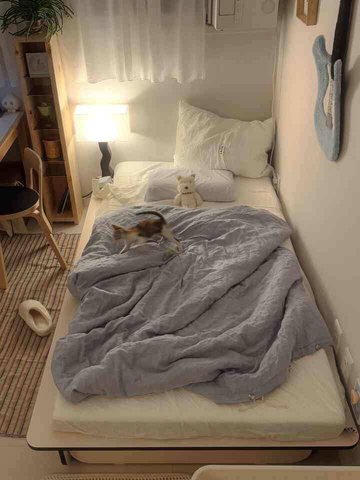 ベージュと薄いブルーのトーンの一人暮らし寝室、ベッドの上に猫がいるナチュラルモダンな印象のインテリア