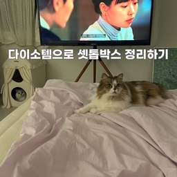 티비 뒤는 셋톱박스와 인터넷 모뎀, 와이파이 공유기로 뒤죽박죽 너무 복잡하잖아요. 전 눈에 보이는거 극혐해서 완전히 안보이게 정리했어요!
다이소에서 네트망 하나와 네트망바구니 두개만 있으면 깔끔히 정리할 수 있답니다👍🏻
1. 네트망은 티비 뒤쪽에 케이블타이로 고정시켜주고 적당한 위치에 바구니를 달아줘요.
2. 아랫칸에 멀티탭을 올려줍니다.
3. 윗칸에는 셋톱박스, 인터넷 모뎀, 와이파이기를 올려줍니다. 선이 꼬이지 않게 테트리스를 잘 해야해요.
4. 긴 선은 깔끔하게 타이로 묶어서 정리해줘요.
5. 멀티탭 선은 케이블커버를 씌워서 벽에 고정시켜줍니다.
저는 커튼 뒤쪽으로 안보이게 가렸답니다. 
감쪽같죠?👍🏻
#집에서제일바빠 #콘수프기록 #셋톱박스숨기기 #셋톱박스정리 #티비거치대 #티비스탠드 #티비선정리 #맞팔선팔 #셋톱박스 #티비스탠드거치대 #케이블커버 #케이블정리 #tv스탠드 #전선정리 #전선정리함 #다이소템추천 