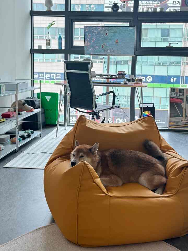 明るい黄色のビーズクッションに犬がいるホームオフィス空間、大きな窓から都市の景色が見える