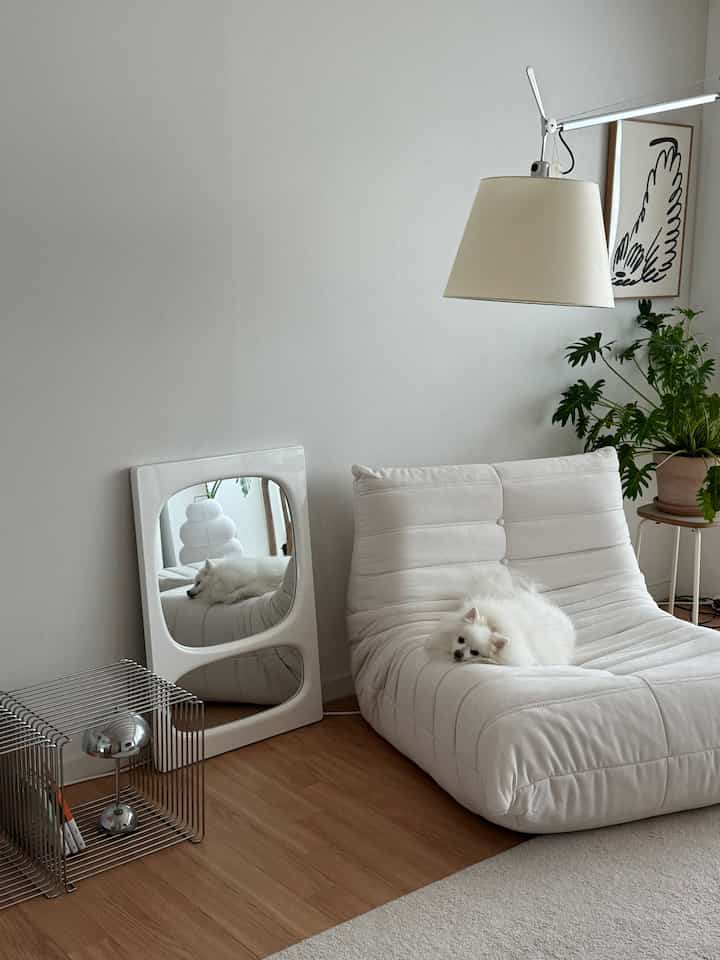 ホワイトとナチュラルな木目調のリビング、一人用のソファと大きな鏡、ペットの犬がいる清潔で自然な空間