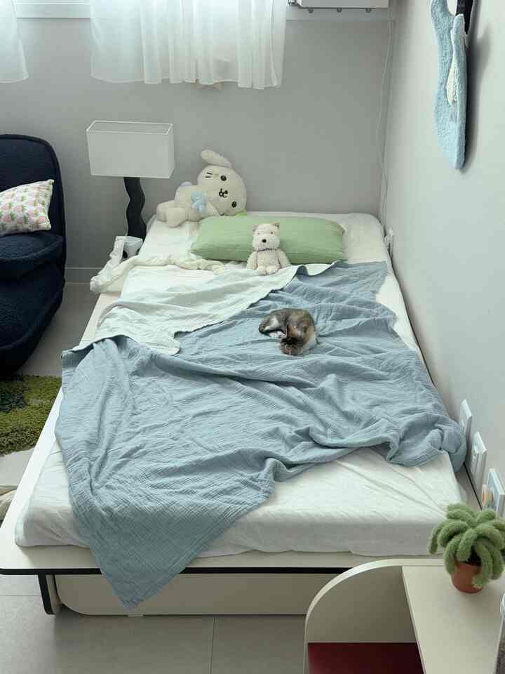 明るいホワイトとパステル調の寝室、中央に配置されたベッドの上に眠る猫がいる落ち着いた雰囲気の空間