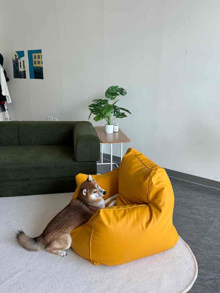 #1인용가구 #마켓비 #앰보소파

The daily commute is tiring, but with the plush Ambo Sofa, I feel so happy to be able to spend time with you 💛 🙃

When I need to refresh after a meeting, I sit down and relax. It's so comfortable and sturdy. It's also incredibly lightweight, making it super easy to rearrange. 😌

Thanks #마켓비 #marketb #마켓비협찬 #마켓비이벤트 #소파추천 #소파 #오늘의우리집