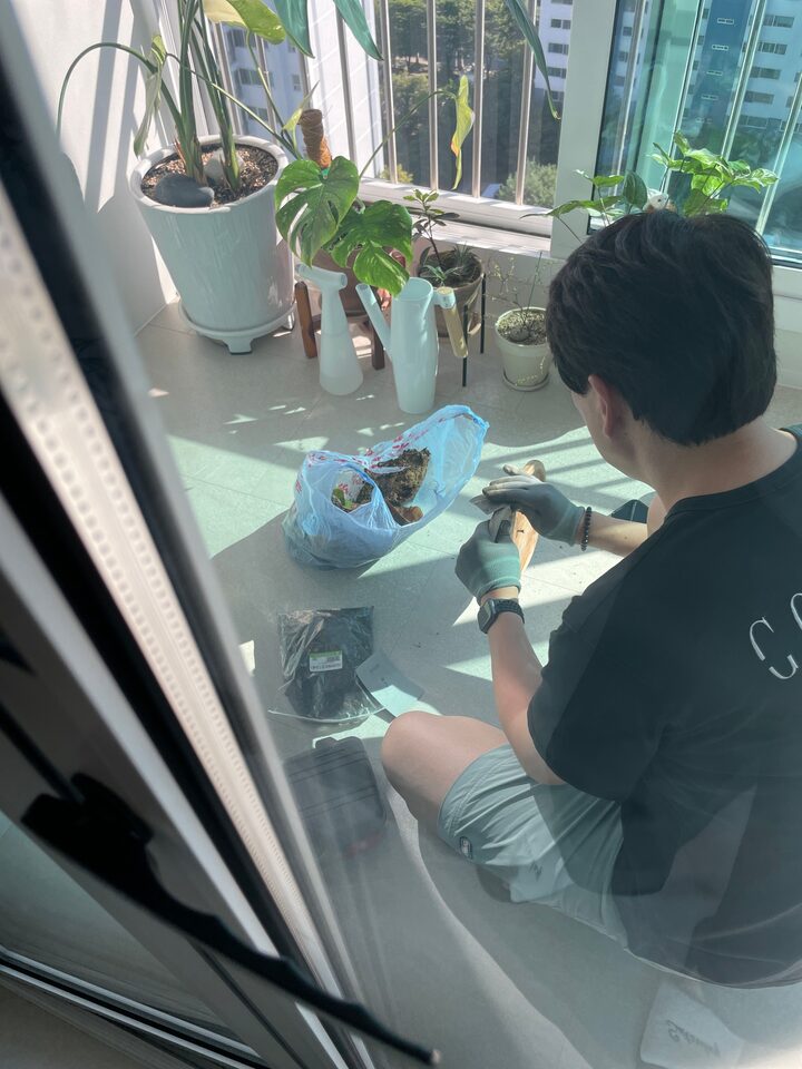 short form carousel card thumbnail