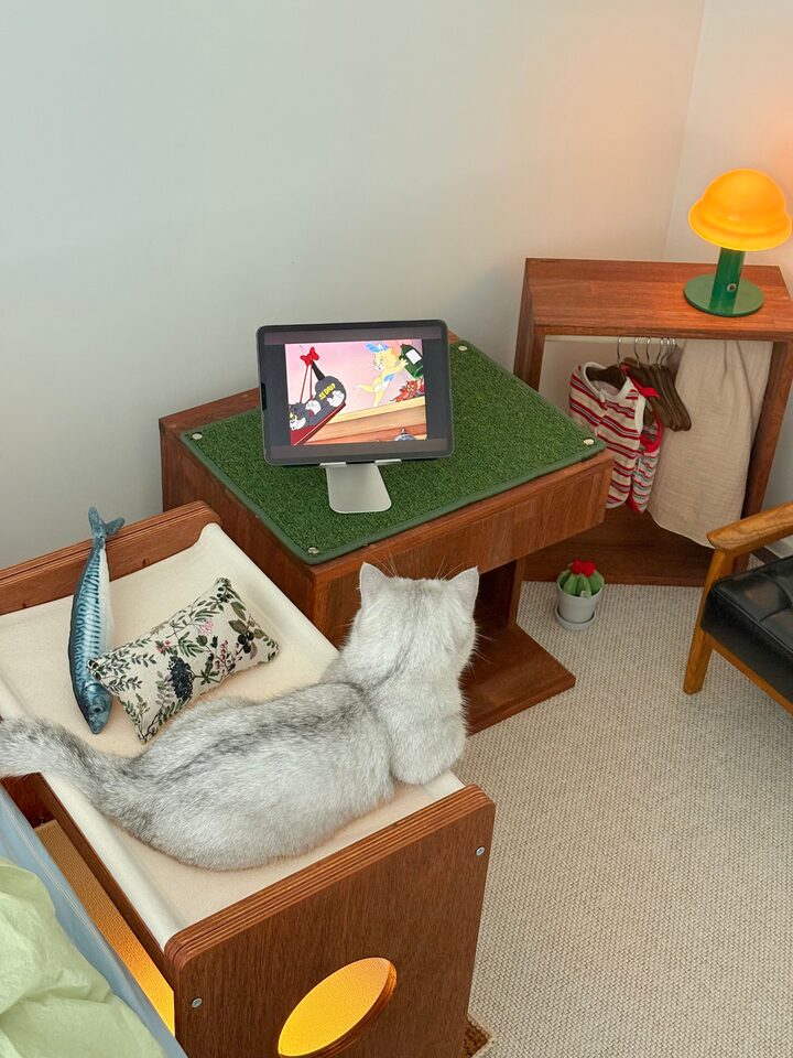 short form carousel card thumbnail