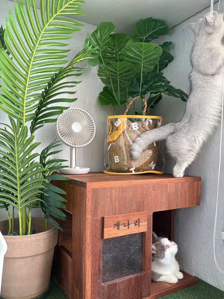 ウッドトーンとグリーンカラーのベランダ、木製ペットハウスと造花が配置された雰囲気のあるペットインテリア