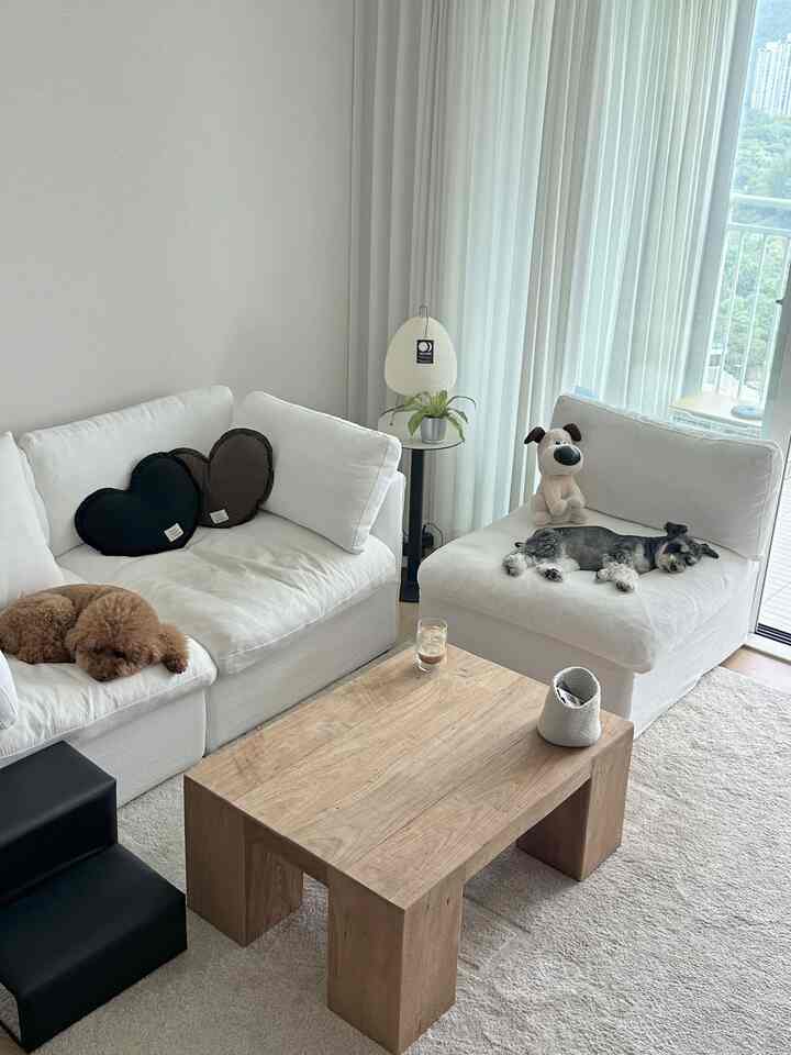 白と木目調のリビング、2匹の犬とソファ、コーヒーテーブルが配置された雰囲気のあるナチュラルモダンな空間