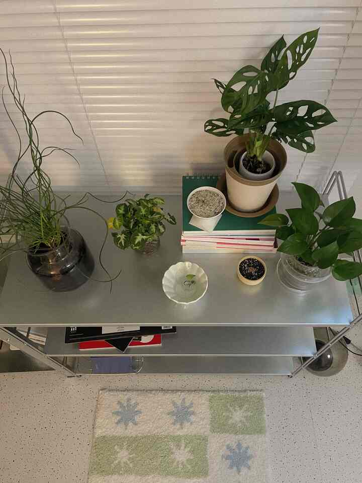 ナチュラルスタイルの室内空間、銀色の金属棚に様々な緑の植物が配置されている