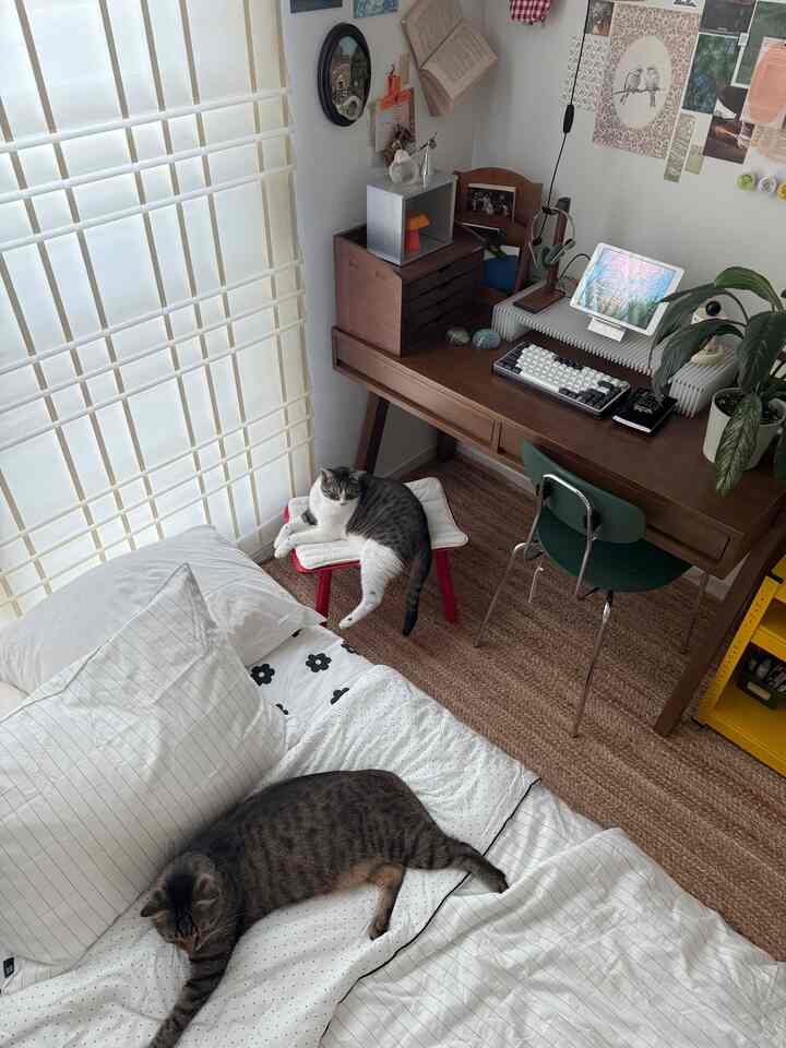 ナチュラルなウッドトーンとホワイトのホームオフィス、デスクとラグの上でくつろぐ2匹の猫がいる雰囲気のあるインテリア。