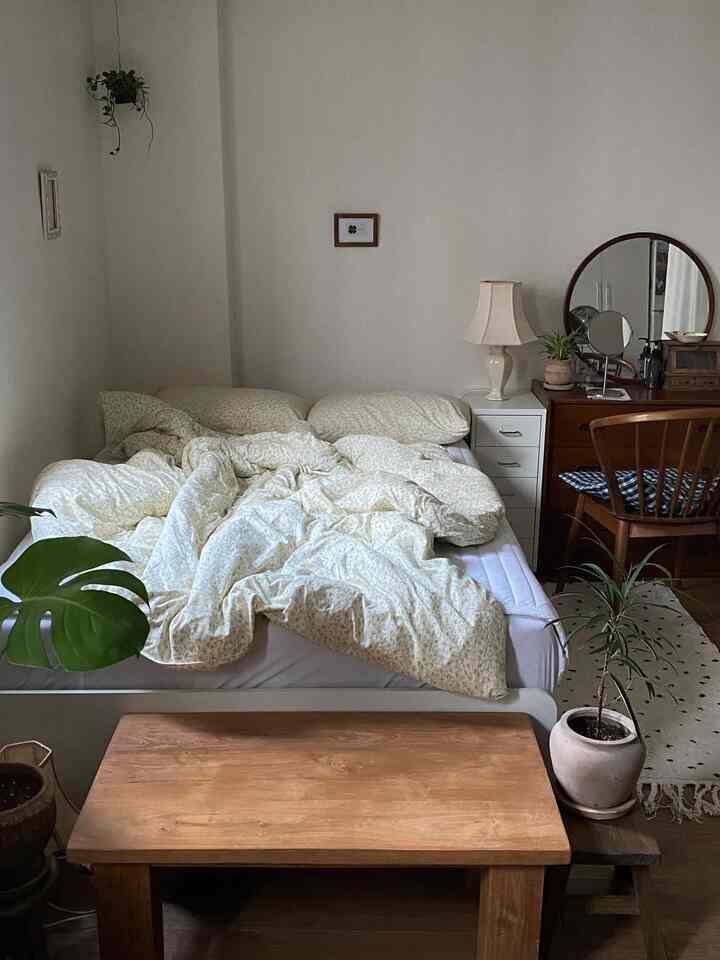 ベージュの壁と木製家具が調和するワンルーム寝室、植物とヴィンテージ小物を配置した落ち着いた空間