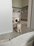 게시글 미리보기 이미지 1
