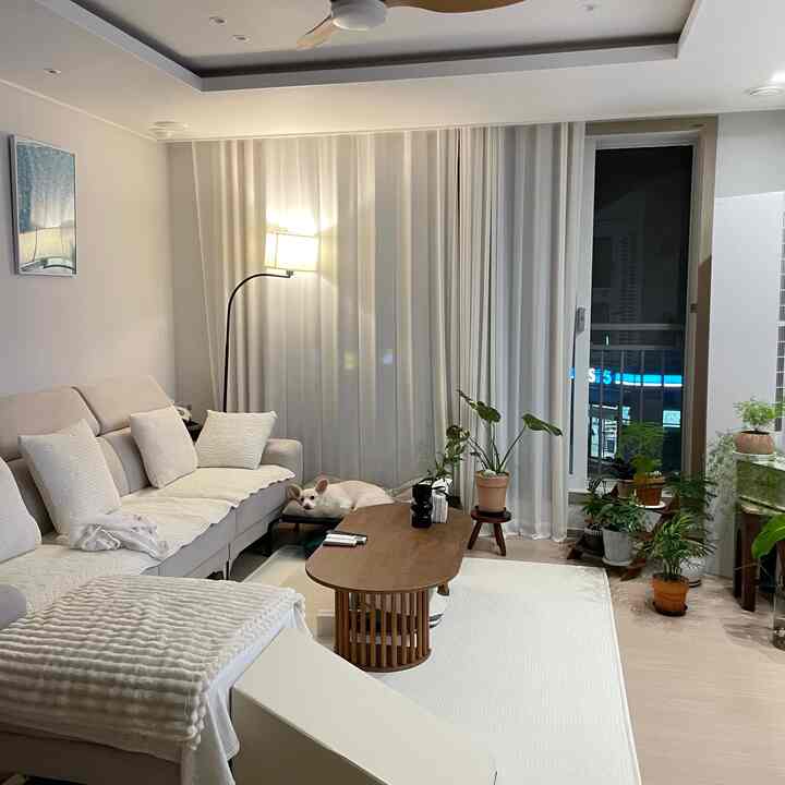 柔らかなベージュと木目調のリビング、ソファや植物、シフォンカーテンが温かみのある雰囲気を作り出している