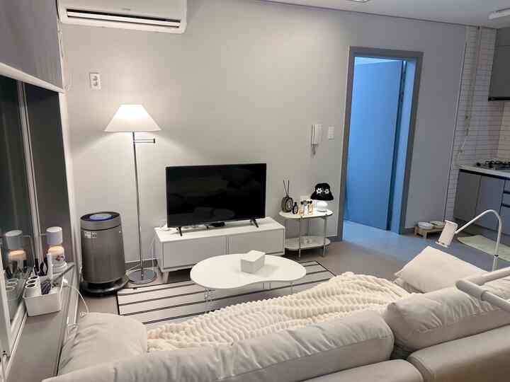 白とグレーのトーンのワンルームリビング、大きなソファとテレビ台、キドニーテーブルが配置された雰囲気のあるミニマルな空間