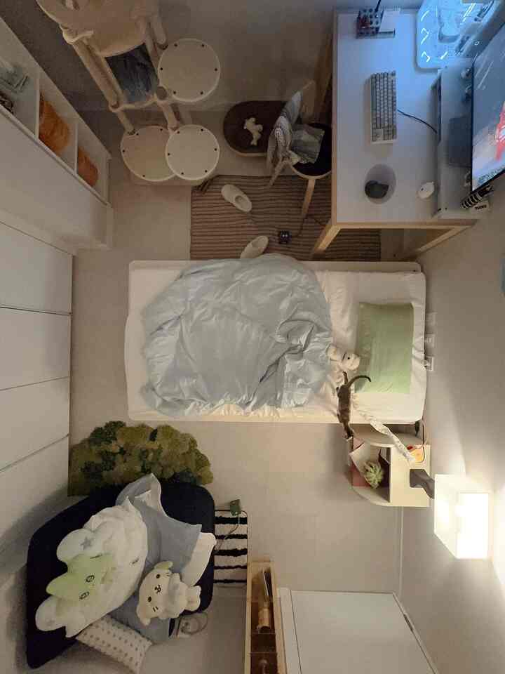 白を基調としたワンルーム寝室、中央にソファとベッド、左上にキャットタワーが配置された雰囲気のある空間