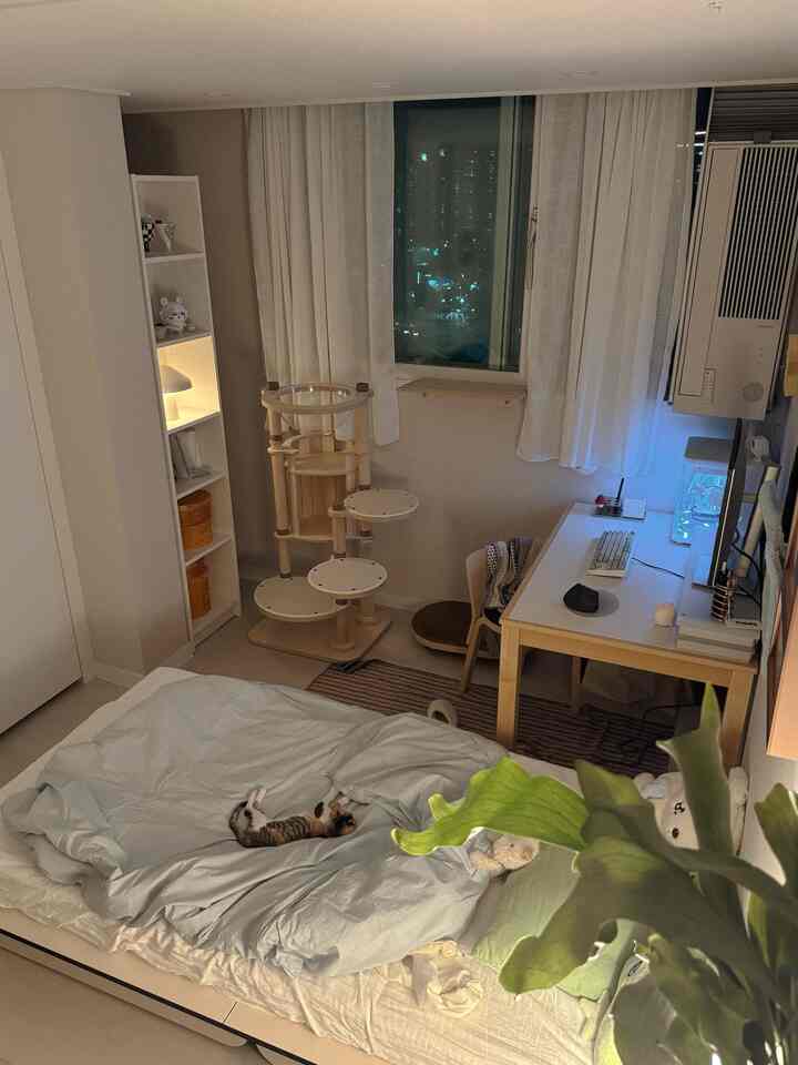 ホワイトとナチュラルカラーの調和が印象的な寝室、コンパクトなデスクとキャットタワーが配置された快適な空間