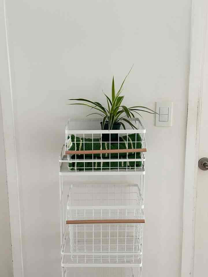 #살림살이 2 #콘수프기록

I used the bag I received as a gift as a laundry basket,
and recently, I used my Ozip points to buy a laundry basket. It's made of stainless steel, so it's well-ventilated. The downside is that delivery was incredibly slow, it's heavy, and
it doesn't hold much laundry,
but I'm satisfied with the design.

#Home Decor #식집사일상 #전국내방자랑 #집들이선물추천 #사소한취향한장 #이주의발견 #오늘의가든 #오늘의집에서샀어 #식집사성장기 #식물인테리어 #선팔하면맞팔 #오늘장면한컷 #데스크테리어 #데스크소품 #쇠테리어 #쇠템 #쇠맛 #홈카페 #베이지인테리어 #화이트톤 #내추럴 #홈스타일링 #10평대인테리어 #18평인테리어 #캠핑존 #캠핑의자 #캠핑인테리어