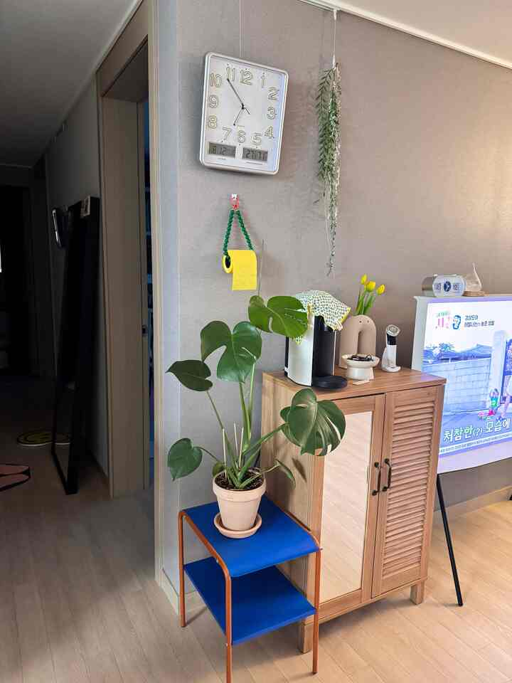 ホワイトと木目調のリビング、青いサイドテーブルの上に置かれたモンステラの植物が生き生きとした雰囲気を演出する空間