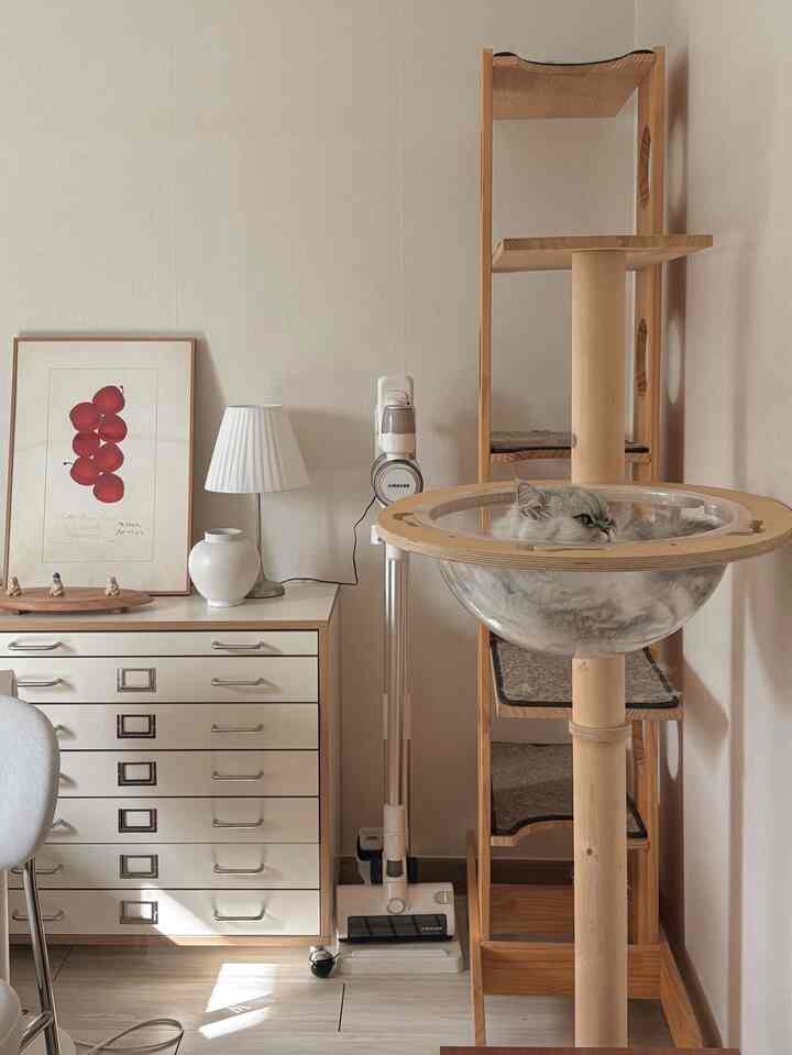 #예쁜템최고야 #콘수프기록  #다이소 #다이소달항아리  #냥집사 #냥이 #냥스타그램 #캣타워 #내추럴인테리어 #내추럴스타일  #지류함 #청소기