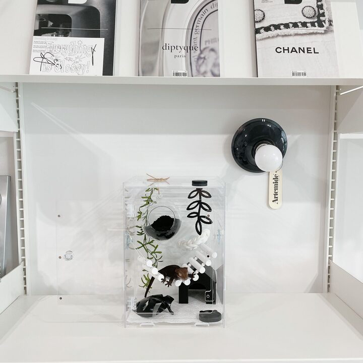 short form carousel card thumbnail