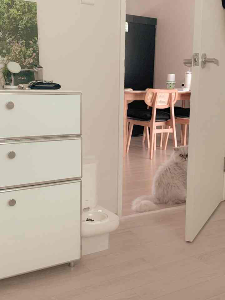 ＃自宅で最高の忙しい＃コンスープ記録

午前中はいつも湿式食べるルーチンを覚えていますか
時間があったけどやらないと寝室に入って気づくココ🐱

早くしてください〰️お母さん🐈💨💨
自分を追いかけてくる

＃墓石の家＃猫とささは家＃ニュートラル＃ニュートラルインテリア＃メイド＃25Aug3