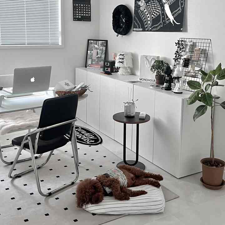 A clean and modern study space in white and monotone colors featuring a glass desk, black office chair, and a brown dog resting on a striped pet bed