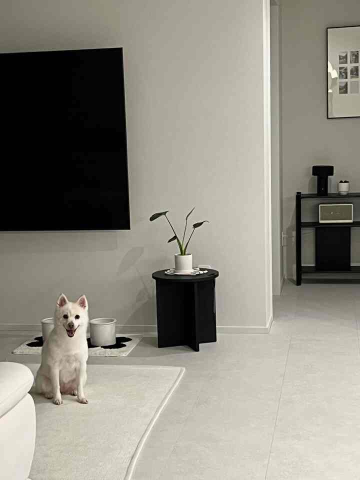 White and black toned living room featuring a dog and pet food bowls with a simple and modern atmosphere