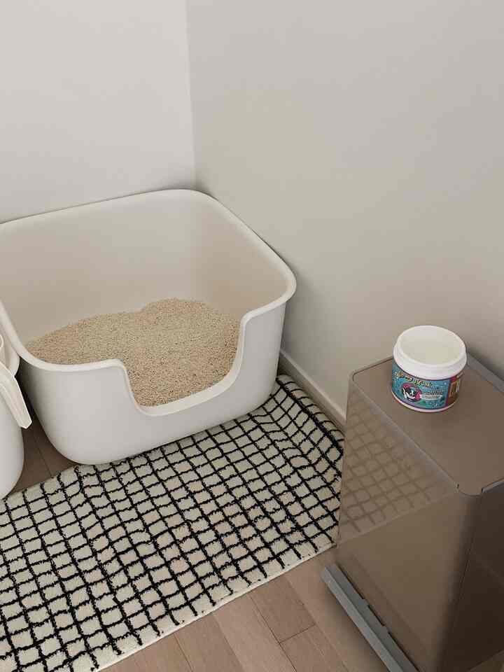 白と茶色の色調のバスルームの角に、猫のトイレとパターンラグが置かれた清潔な空間