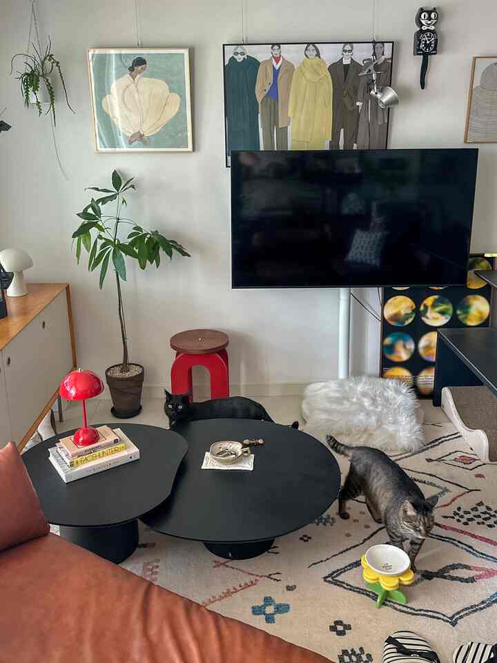 茶色のレザーソファと黒いコーヒーテーブルが配置された、猫と暮らすインスタ映えのあるリビング