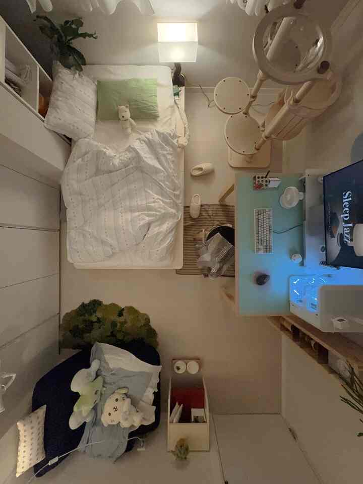 ナチュラルな色調のワンルーム寝室、シンプルな家具と猫用品が配置された雰囲気のある空間