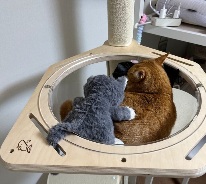 short form carousel card thumbnail