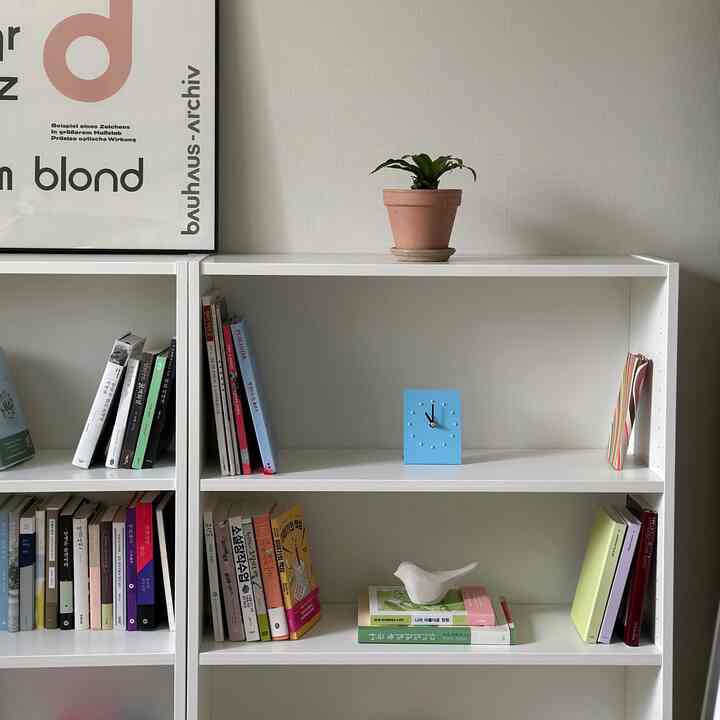 
Hadiah Rarelow pertamaku dari Today's House💗

#Rarelow #레어로우모브클락
#DeskClock #무소음시계
#SecretChallenge