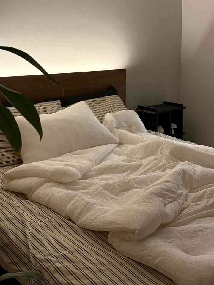 #살림살이 #콘수프기록 #콘수프

Ganti sprei secara teratur sangat memuaskan ☁️🤍
Selimut yang lembut bagaikan awan✨

#Set Sprei #침구세트 #침구교체 #침구스타일링 #이불세트 #이불추천 #간절기이불 #이불세트 #침실인테리어 #침실스타일링 #침실꾸미기