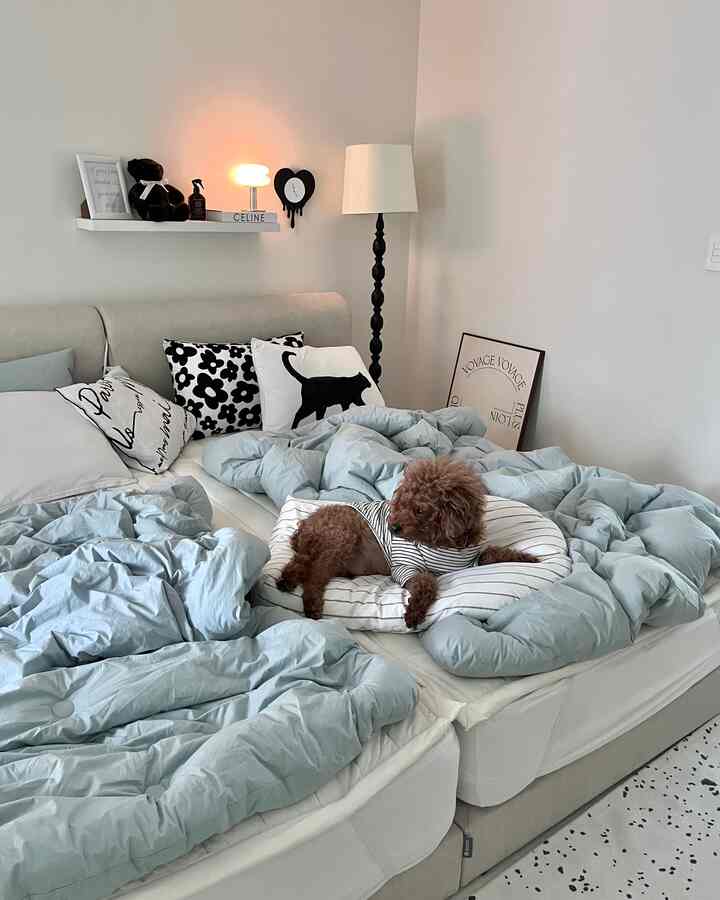 【中身付き】ペット クッション ストライプ［3色・2サイズ］を使ったコーディネート 2