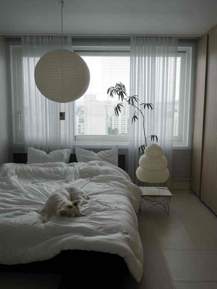 ホワイトとナチュラルカラーの色調の寝室、大きなベッドの上に犬が横たわり、窓にはブラインドとカーテンが配置された落ち着いたインテリア