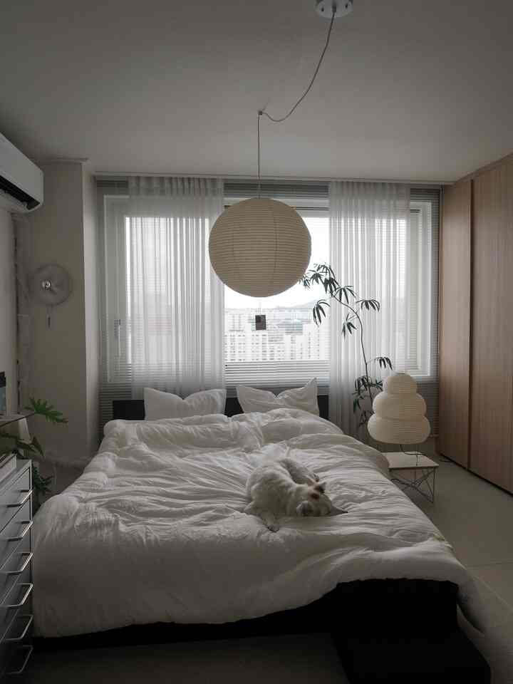 白と木目調が調和した寝室、中央にベッドとカーテンが配置され、小型ペットが寝ている雰囲気のあるインテリア