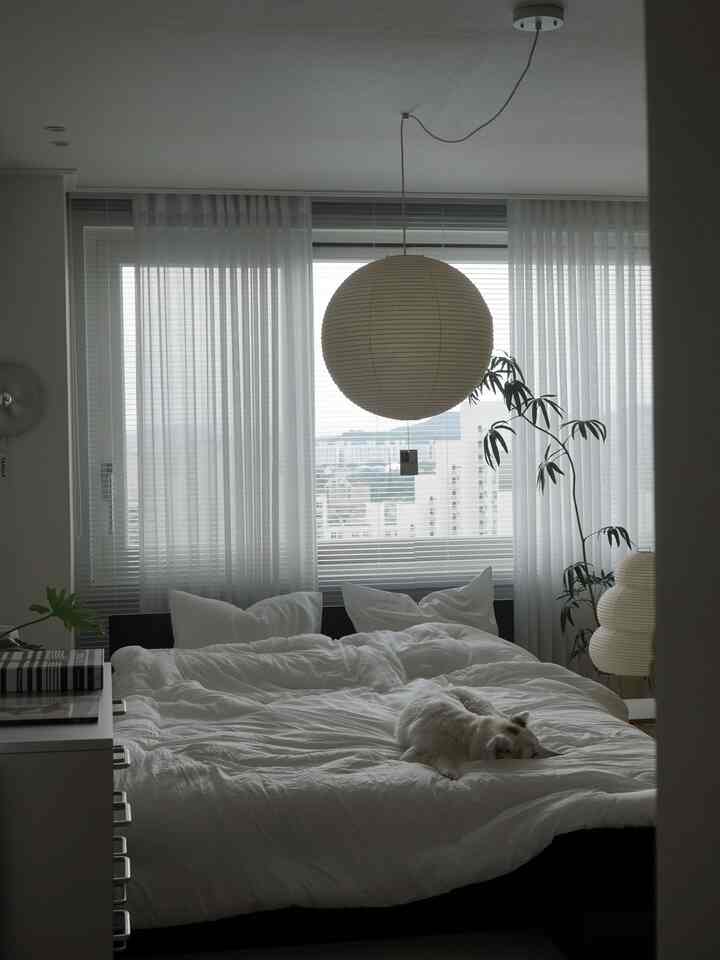 明るいホワイトトーンの寝室、クイーンローベッドとペンダントライト、室内植物が配置されたモダンでミニマルな雰囲気のインテリア
