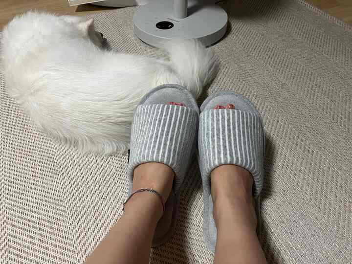 #예쁜템최고야 #콘수프기록 #실내식물 #오가든
#オーガデン 

男鹿屋内化収穫しました！ 
ふわふわは本当にいいです..🩷
私の夫は最初にしました、 
早く育てたい