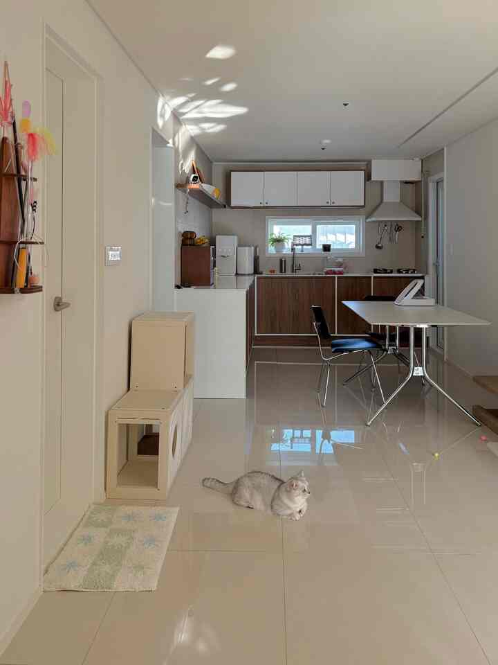 階段型 キャットタワー 2x2［7色］を使ったコーディネート 3