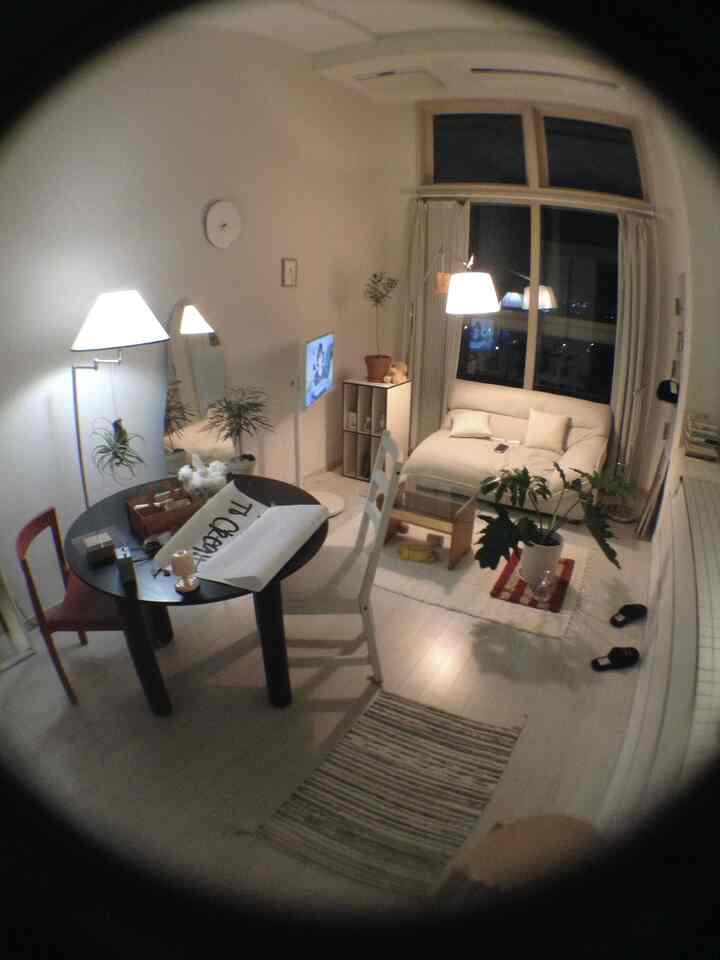 白を基調としたロフトのワンルームリビング、ミニマルスタイルのダイニングテーブルやソファ、植物、照明が配置された広々とした印象的な空間