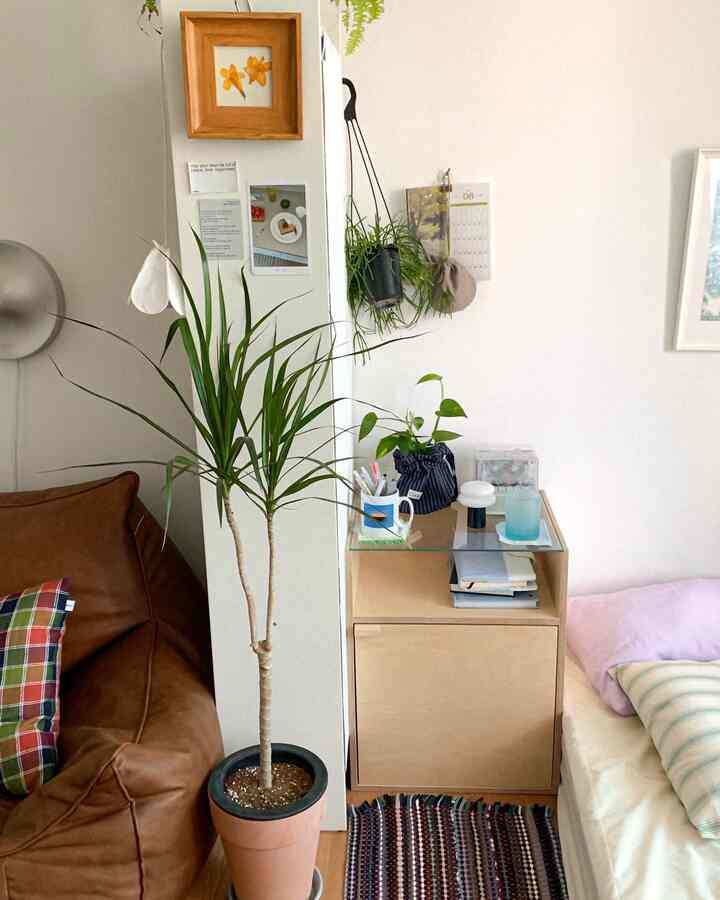 ベージュとブラウンのトーンの小さな寝室、ビーンバッグソファと植物が配置され、居心地の良い雰囲気のあるインテリア