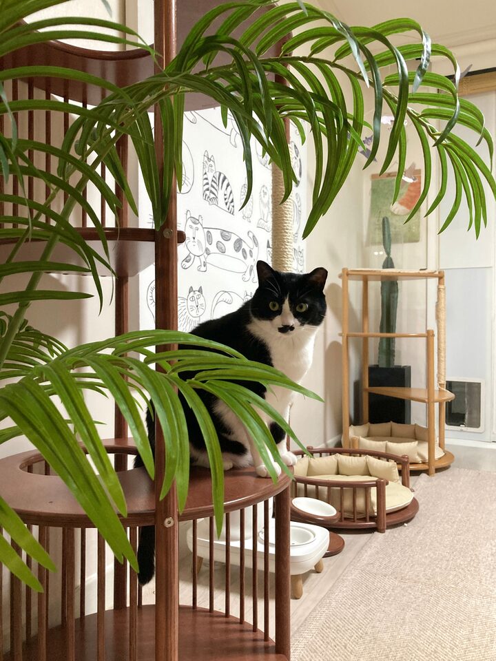 short form carousel card thumbnail