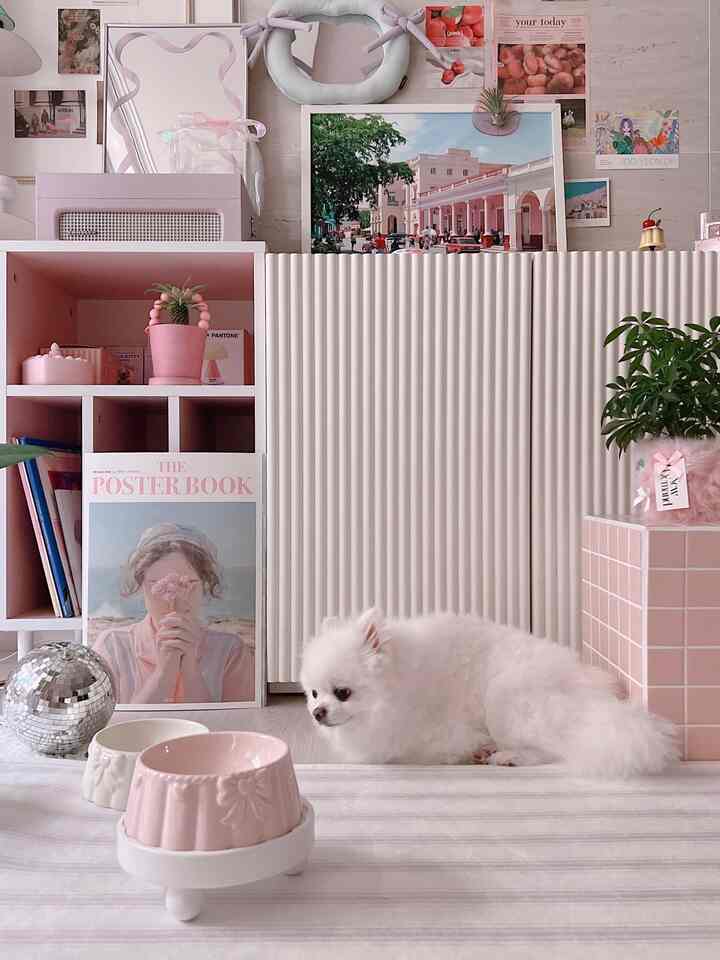 ピンクと白の色調のリビング、犬と洗練されたオブジェが調和するインテリア空間